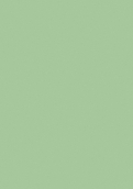 8794 瓷釉绿