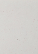 SM2195 雾白