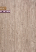 S169-NW 古罗马橡木