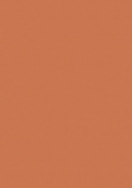 H4161 骆橙
