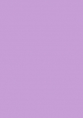 0233 石南花