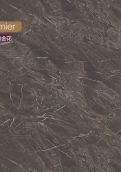 4980-01 黑咖金花