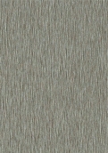 8816 璀璨金